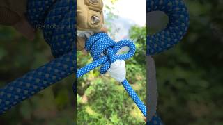 The BEST knot for Camping   Tarp Knots [upl. by Otina152]