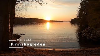 Finnskogleden Mitanderfors  Elgklinten mai 2023 [upl. by Annairba33]