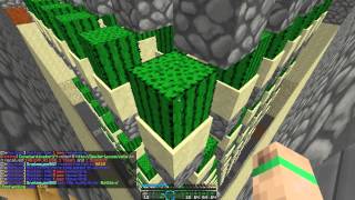 Minecraft server cactus farm [upl. by Gnouhc]