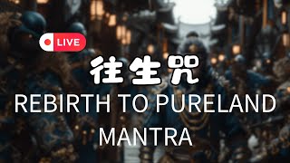 業障大掃除：【往生淨土神咒】Rebirth to pureland Mantra極楽浄土往生のためのマントラ극락정토로의 환생을 위한 만트라 [upl. by Xylina]