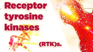 Receptor tyrosine kinases  RTKs  Cell Signaling [upl. by Hadria]