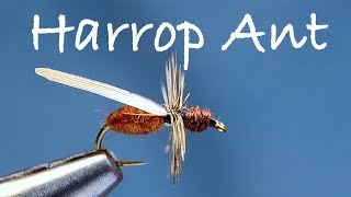 Harrop Ant Fly Tying Instructions by Charlie Craven [upl. by Celtic]