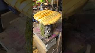 Making a tree stump stool shorts woodworking woodworking diy making maker handmade [upl. by Thora681]