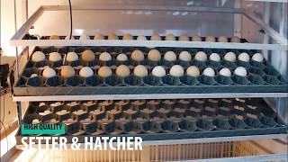 EGG INCUBATOR Fully Digital amp Automatic [upl. by Happ737]