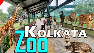 Kolkata Zoo  Alipur Zoo Kolkata  Kolkata tourist Places  अलीपुर चिड़ियाघर [upl. by Jarin]