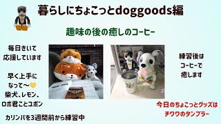 暮らしにちょこっとdoggoods編カリンバの練習とコーヒーの時間 [upl. by Hedvige]