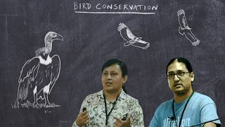 Basic Ornithology Bird Conservation [upl. by Anstus539]