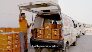 Fruits amp Vegetable Warehouse Corporate Film  Grofers  Vibhor Mathur [upl. by Nylleoj]