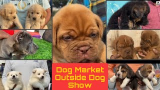 Wholesale Dog Market At Nawashahr Dog Show on 20 February 2021 [upl. by Llehsor]