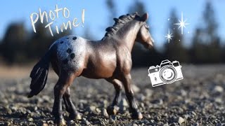 Take Photos of Schleich Horses with Me 📸🐴 [upl. by Ahsina]