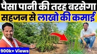 सबसे आसान और फायदेमंद खेती😱💯Drumstick Farming की A to Z जानकारी💯🔥Indian Farmer [upl. by Gunner]