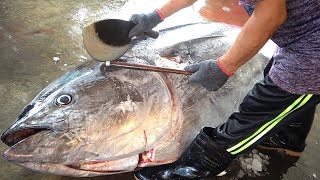 Worlds Sharpest Knife VS Over 300 KG Giant Bluefin Tuna [upl. by Kulseth931]