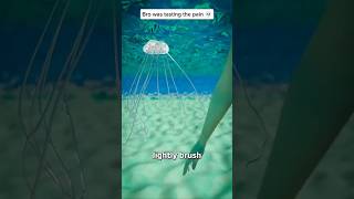 How A Jellyfish Actually Stings You 😱  Melon Playground memes [upl. by Palermo580]