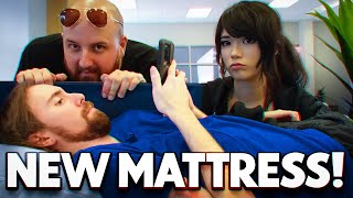 We Took Asmongold Mattress Shopping [upl. by Noirb]