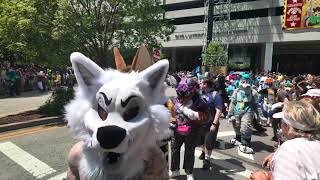 Anthrocon 2024 Fursuit Parade The Whole Darn Thing [upl. by Melody]