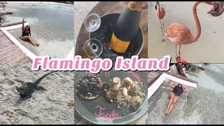 FLAMINGO ISLAND  Renaissance Aruba Private Island [upl. by Ylrak685]