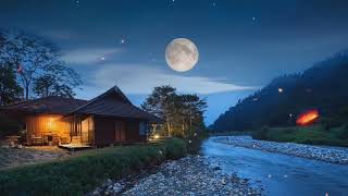 Relaxing Piano Music and Night Nature Sounds with Crickets Sleep Music Stress Relief Fall Asleep [upl. by Olwena444]