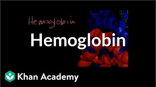 Hemoglobin  Human anatomy and physiology  Health amp Medicine  Khan Academy [upl. by Zurc]