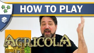 How to Play Agricola [upl. by Sexton318]