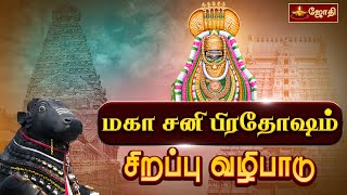 விதியை வெல்லும் சனி மகா பிரதோஷ வழிபாடு  Sani Pradosham பல்வேறு கோயில்களில் இருந்து  Jothitv [upl. by Dorita]