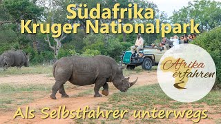 Südafrika Selbstfahrer Rundreise im Krüger Nationalpark [upl. by Elacsap]