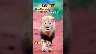 Le lion  Épisode 1  Joseph Kessel [upl. by Nahej935]