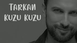 Tarkan  Kuzu Kuzu  Karaoke [upl. by Chick]