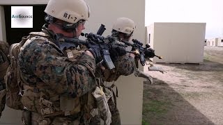 JGSDF 1st Recon Marines Conduct Raid Training [upl. by Elleniad480]