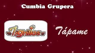 Tápame  Tigrillos • Cumbia Norteña • Cumbias Sólo Cumbias [upl. by Nirrek]