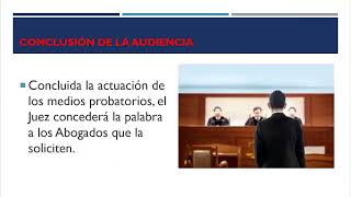 AUDIENCIA DE PRUEBAS [upl. by Gulgee]