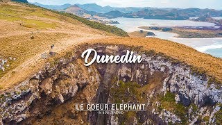 Dunedin amp Péninsule dOtago  Nouvelle Zélande [upl. by Lobiv]