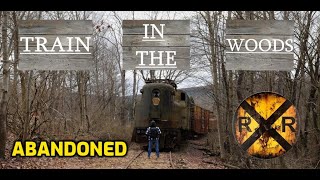 Abandoned Train In The Woods Milford Train Station Part 2 [upl. by Aleahs]