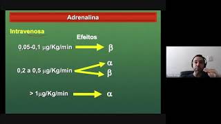 Farmacologia dos Agonistas Adrenérgicos  Parte 6 [upl. by Aryas234]