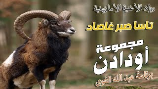 Oudaden  Tassa Sbar Ghassad EXCLUSIVE  2023  مجموعة أودادن  تاسا صبر غاصاد [upl. by Barna362]