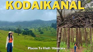 Complete Guide To Kodaikanal  Places To Visit  2 Day Itinerary  Accomodation [upl. by Enitnatsnoc]