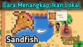 Mancing Sandfish Di Stardew Valley [upl. by Weider109]