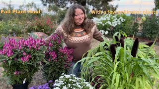 Fall Plant Haul With A Few Great Plants For Pollinators [upl. by Seuqramed]