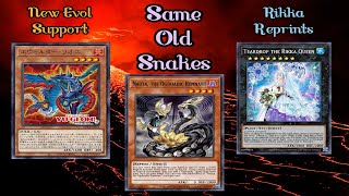 Ogdoadic Rikka ft New Evol Support Deck Profile March 2023 [upl. by Helsa451]