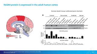 Bridging Gaps in CNS Disorders The Power of Human Stem Cell Models [upl. by Ravel]