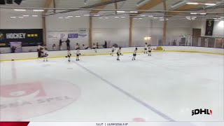 AIK Hockey vs Brynäs IF  Game Highlights [upl. by Beaulieu]