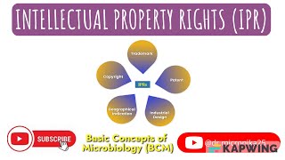 Intellectual property rights and their types Tangible and intangible property Patent I GI Tags [upl. by Norre]