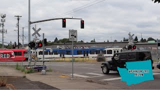 Heavily Vandalized Railroad Crossings TriMet 141 at SE Milwaukie Ave Portland OR [upl. by Bigler]