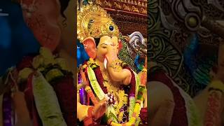 Lalbaug Cha Raja 2024🙏🏻❤️🌎 lalbaughcharaja 2024 shorts viralshorts foryou explore ganpati [upl. by Nelyak]