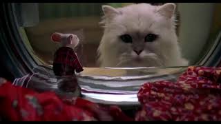 Stuart Little funny scene in Hindi  3 [upl. by Ainej]