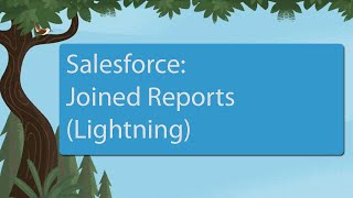 Salesforce Joined Reports Lightning [upl. by Thamora229]