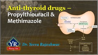 Antithyroid drugs  Propylthiouracil amp Methimazole  YR Pharma Tube  Dr Yerra Rajeshwar  Dr YR [upl. by Aserat]