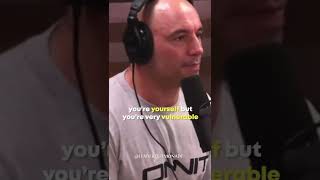 Joe Rogan on DMT Art [upl. by Thielen394]