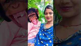 Bandar mama pahan pajama dawat khane aaye 🙊🐵🐵funny monkey [upl. by Gula259]