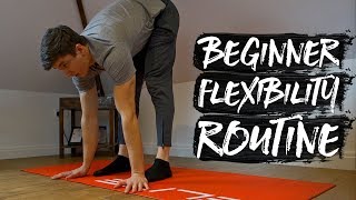 15 Minute Beginner Stretch Flexibility Routine FOLLOW ALONG [upl. by Fedirko]