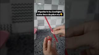 Pipetlerin Bu Özelliğini Daha Önce Duydunmu 😯👇 [upl. by Sul876]